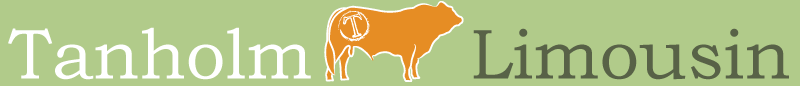 Tanholm Limousin